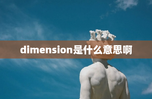 dimension是什么意思啊