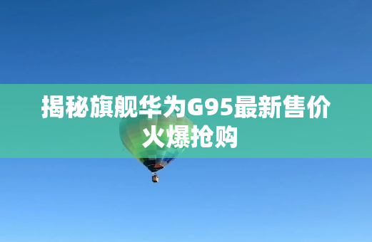 揭秘旗舰华为G95最新售价 火爆抢购